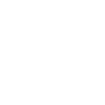 truck icon